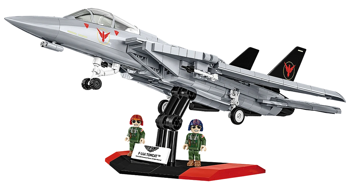 Grumman F-14 Tomcat™