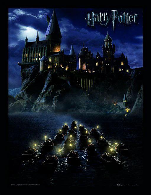 Harry Potter (Hogwarts School) Framed 30 x 40cm Print by PYRAMID INTERNATIONAL
