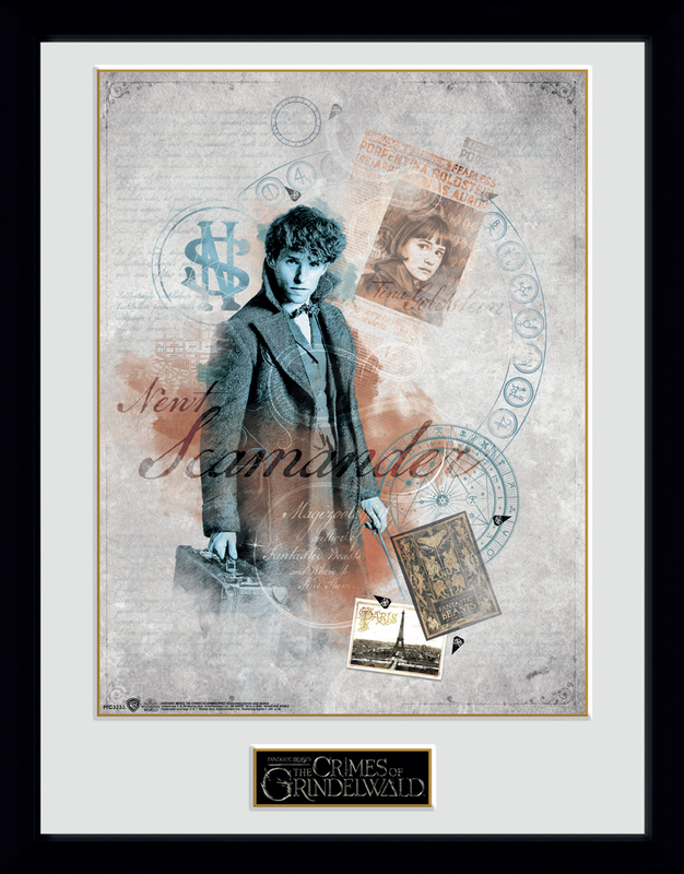 CUADRO ANIMALES FANTASTICOS 2 EL CORTE INGLES EXCLUSIVE 30x40 CM