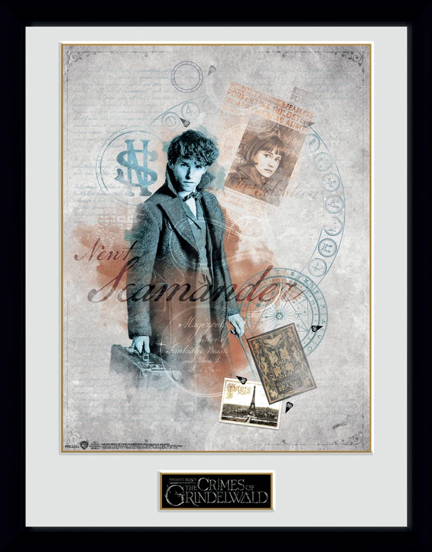 CUADRO ANIMALES FANTASTICOS 2 EL CORTE INGLES EXCLUSIVE 30x40 CM - Kimera y Foley Shop
