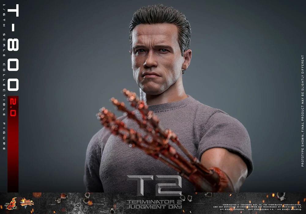 Terminator 2 Figura 1/6 Movie Masterpiece T-800 Battle 2.0 32 cm MMS795 by HOT TOYS