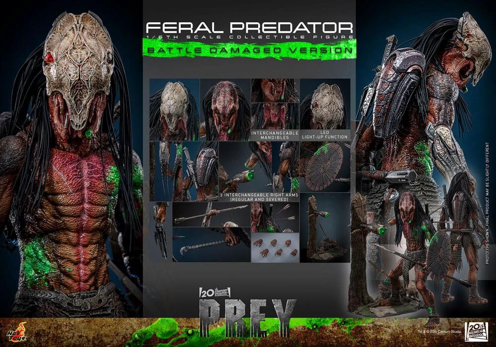 Prey Figura 1/6 Feral Predator (Battle Damaged Version) 37 cm by HOT TOYS