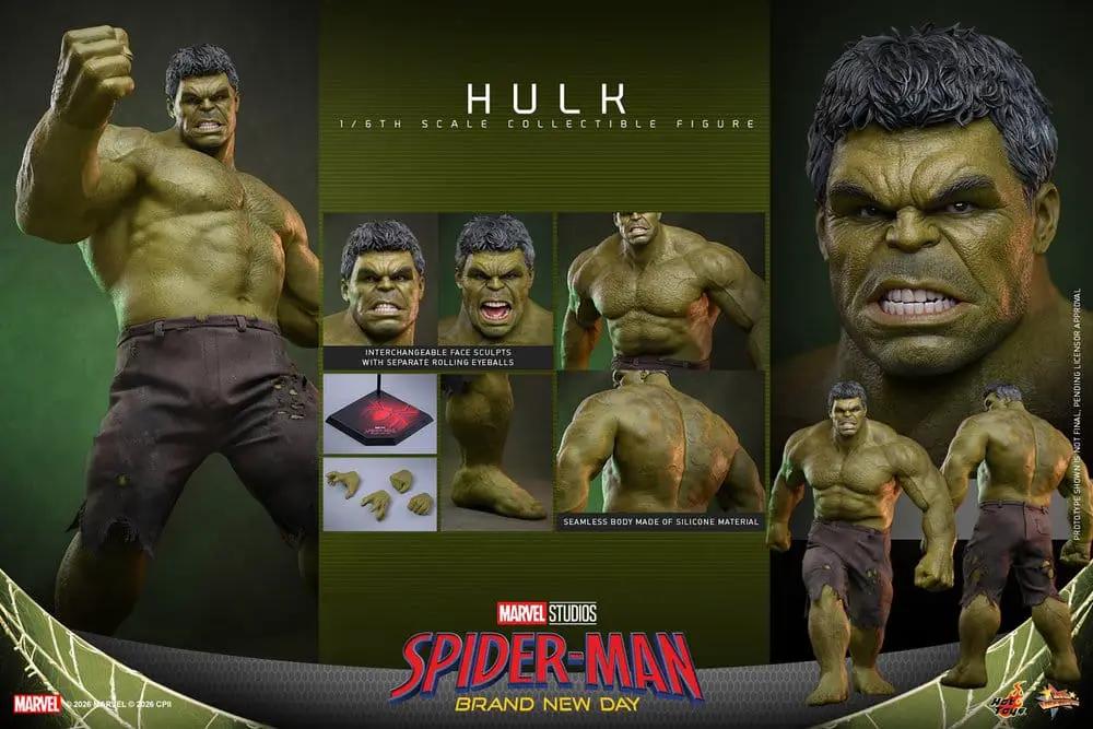 Figura de acción Hulk 1/6 de HOT TOYS, 51 cm, verde, Marvel.