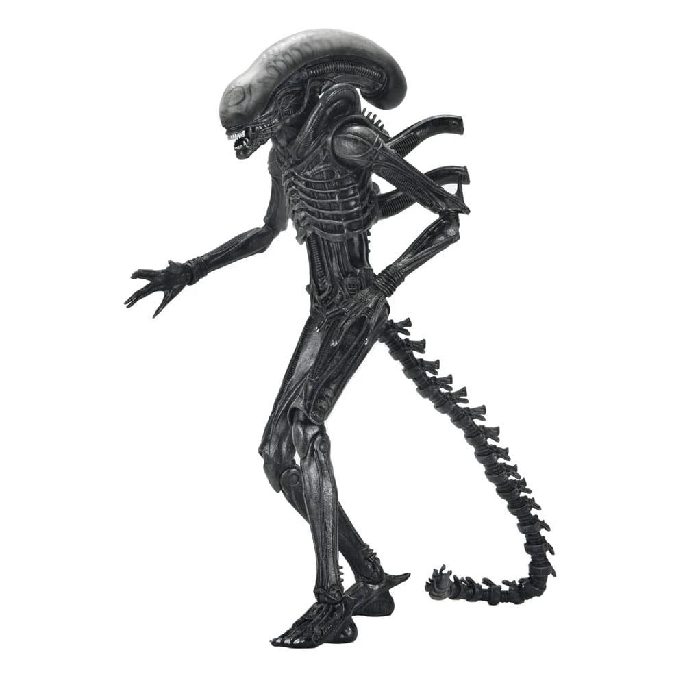 Alien: Romulus Figura Ultimate Xenomorph XX121 18 cm by NECA