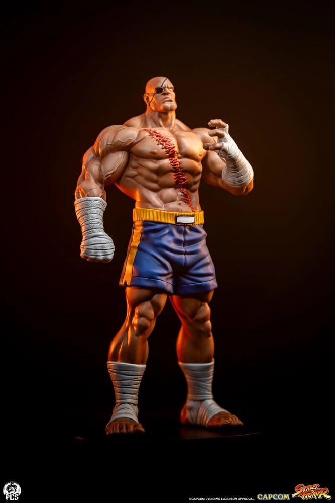 Street Fighter Street Jam Estatuas 1/10 Sagat & Juli 24 cm by PREMIUM COLLECTIBLES STUDIO