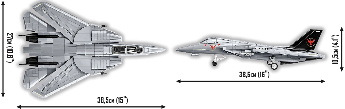 Grumman F-14 Tomcat™