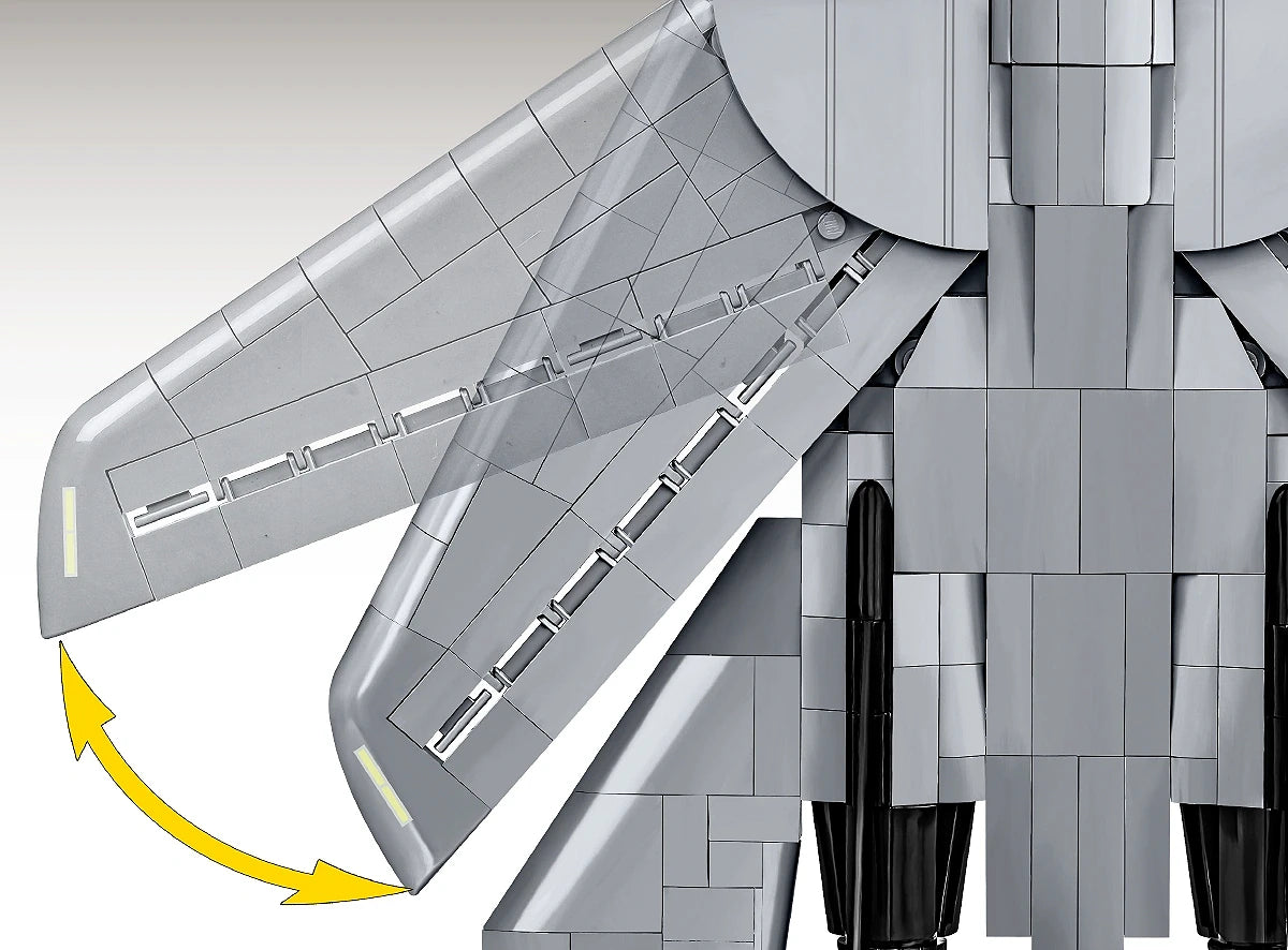 Grumman F-14 Tomcat™