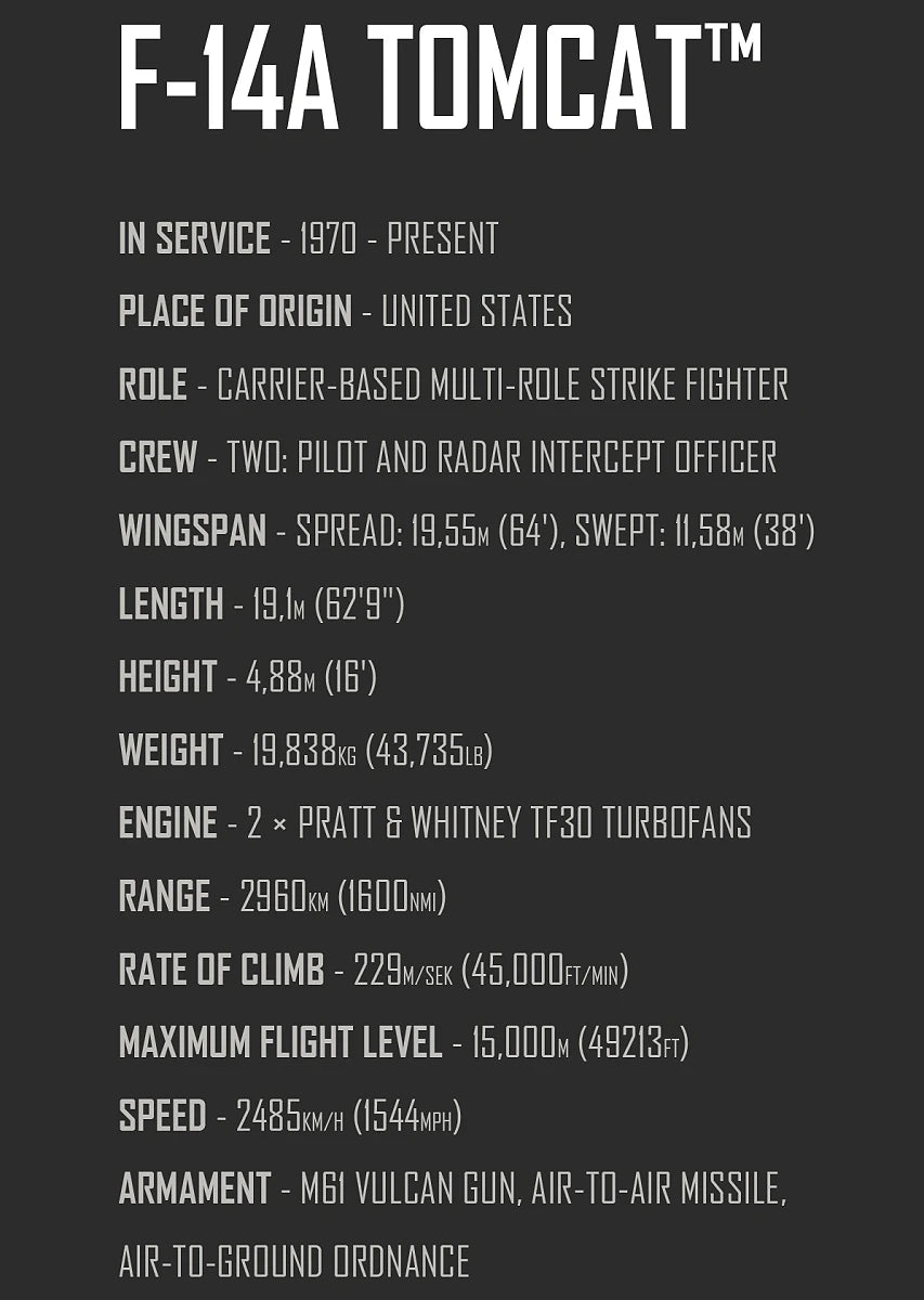 Grumman F-14 Tomcat™