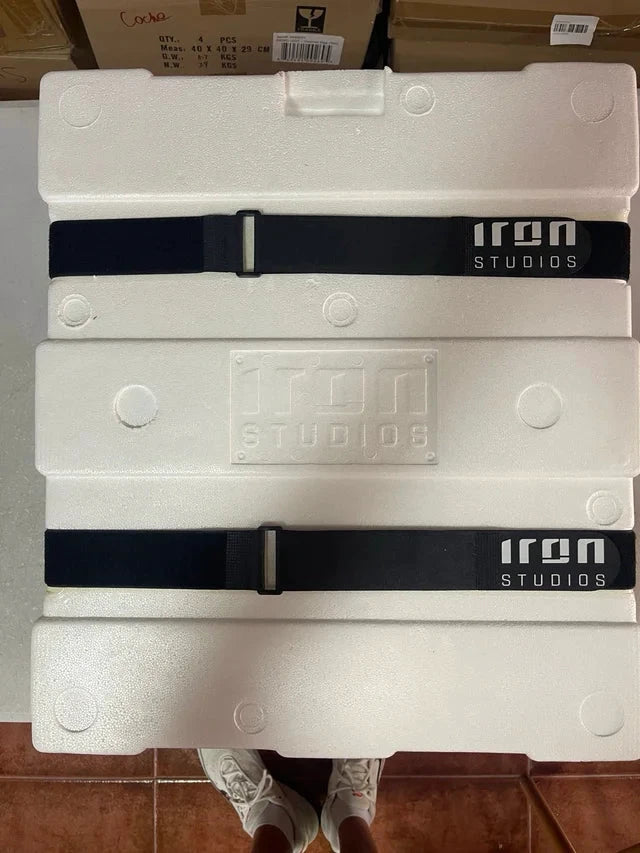 Saint Seiya Dragon Shiryu 1/10 Deluxe Art Scale statue packaging by Iron Studios, foam case with straps