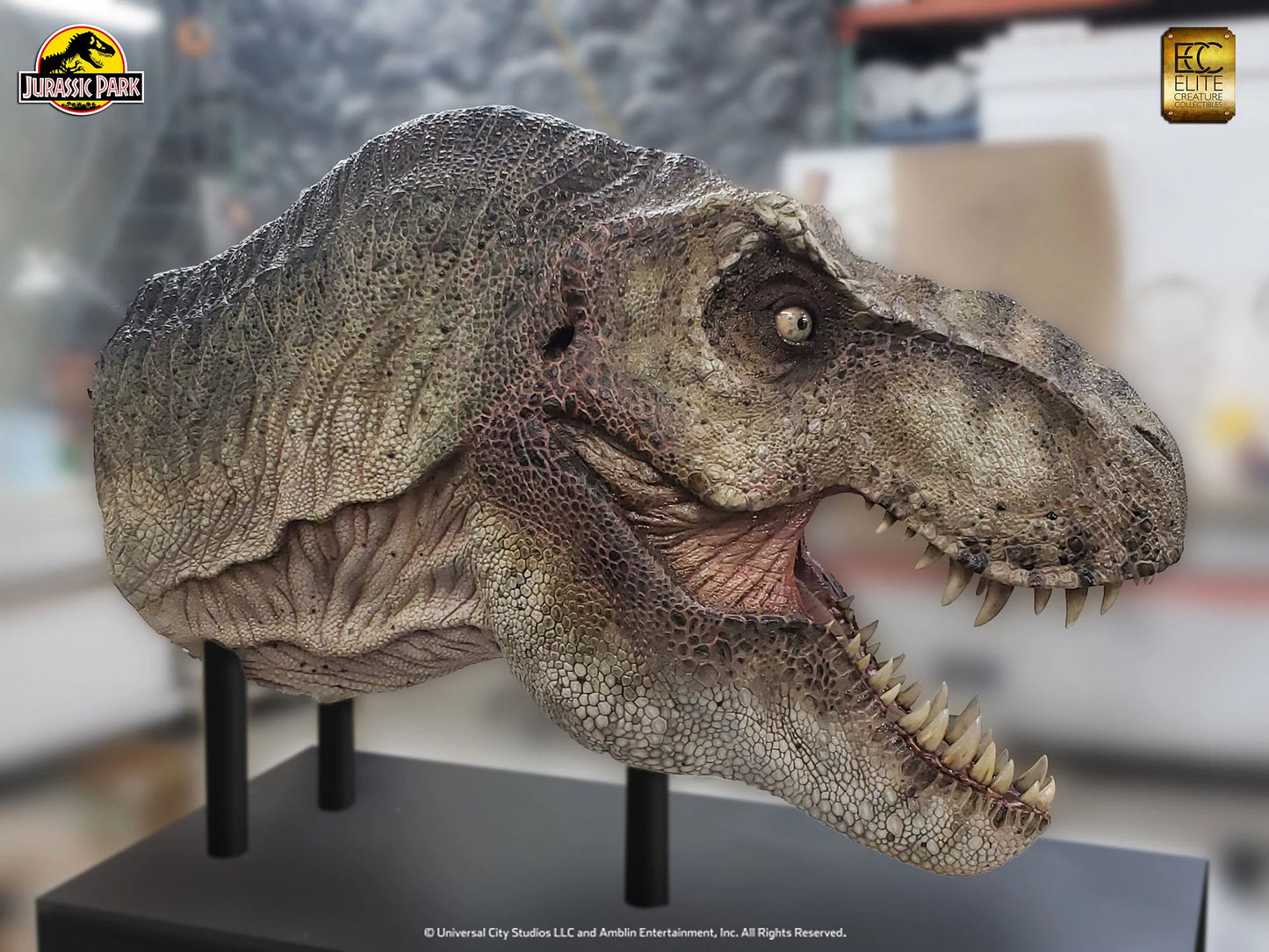 Tyrannosaurus rex 1/2 scale head prop reproduction