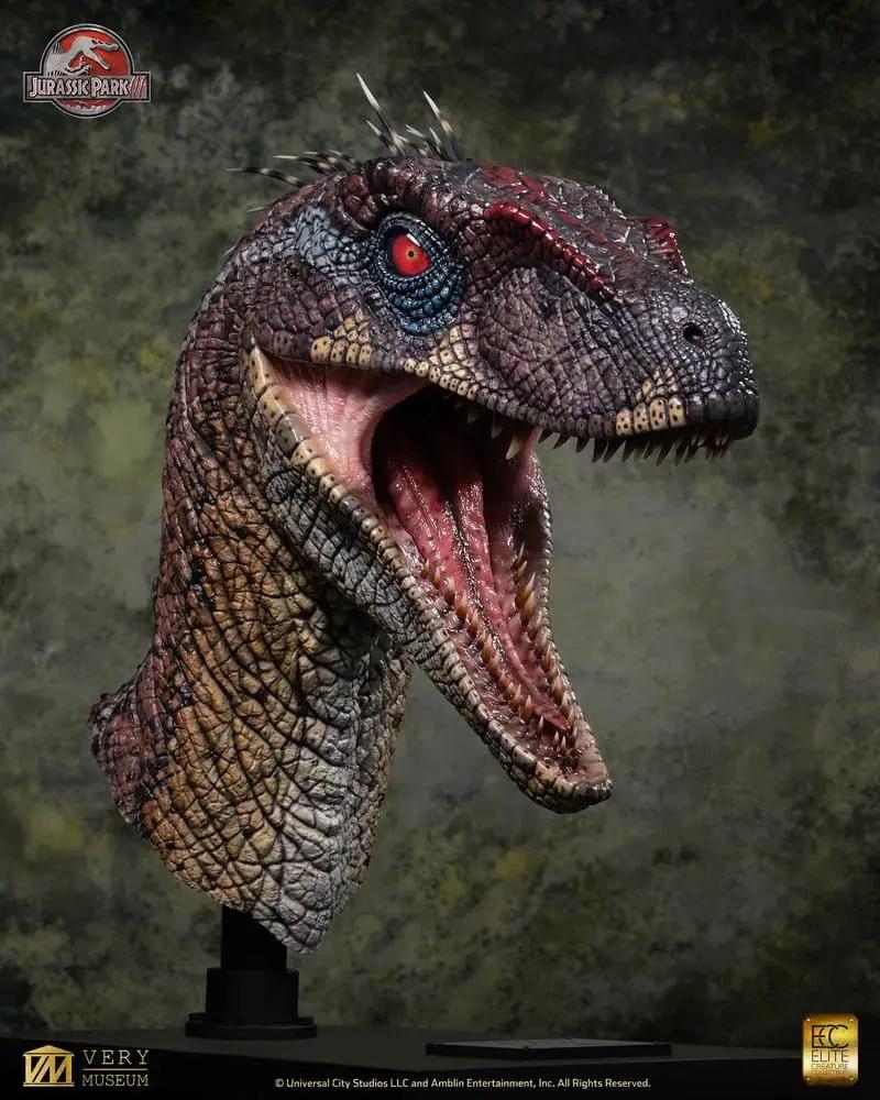 Busto em tamanho real de Velociraptor Alpha Blood Knight, 83 cm, tema Jurassic Park, Premium Collectibles Studio.