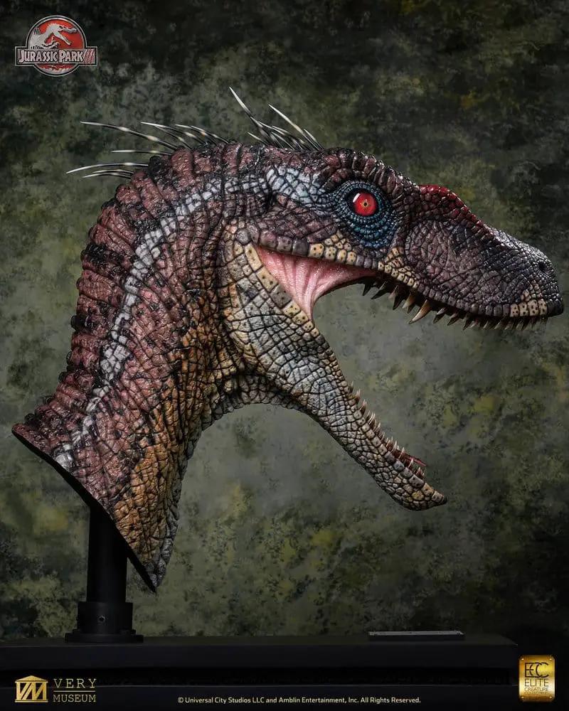 Life-size Velociraptor bust Blood Knight on display stand, 83 cm, by Premium Collectibles Studio – Jurassic Park collectible.
