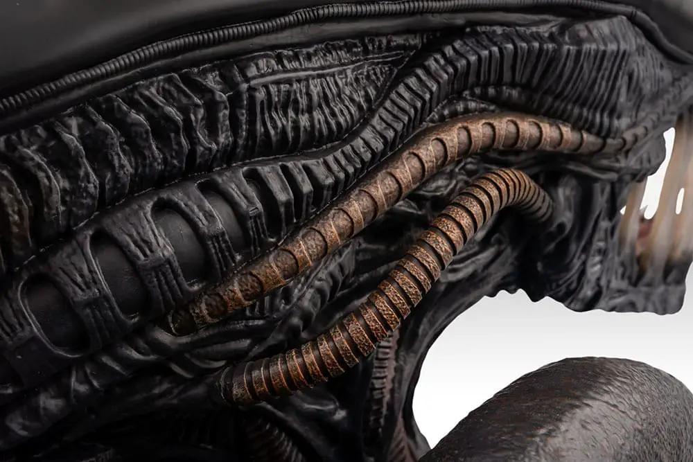Alien Romulus bust 1/1 Xenomorph with black exoskeleton and copper tubing, 53 cm