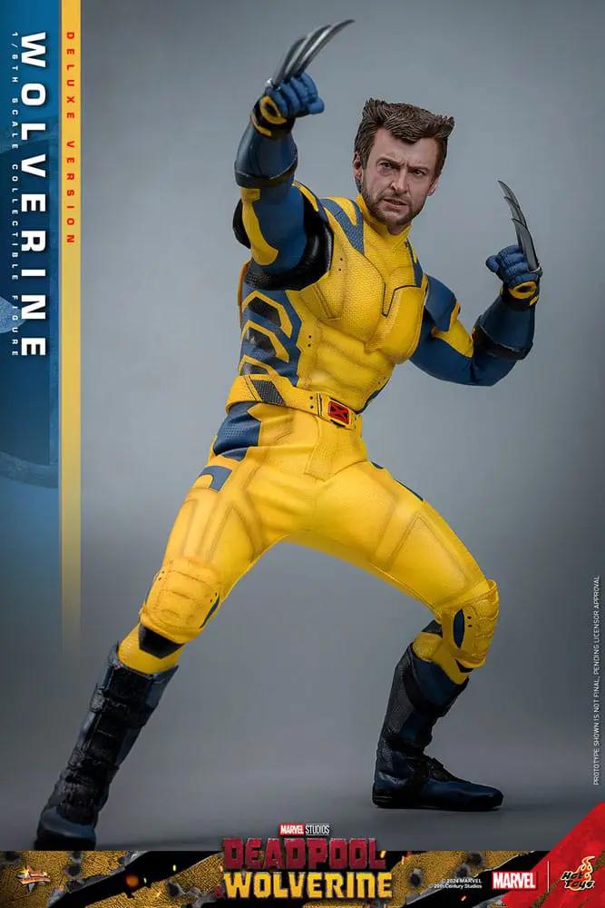 Wolverine 1/6 Deluxe Figure 31 cm tall by HOT TOYS, yellow-blue suit with extended claws, dynamic pose