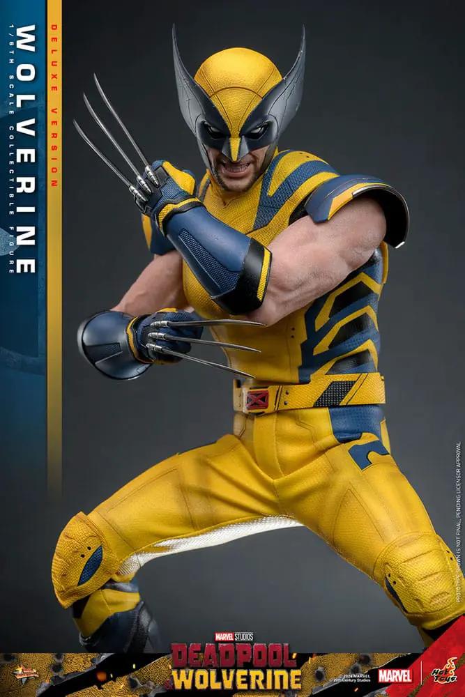 Figure: Hot Toys Deadpool & Wolverine Movie Masterpiece 1/6 Wolverine Deluxe Version, yellow-and-blue suit, 31 cm tall
