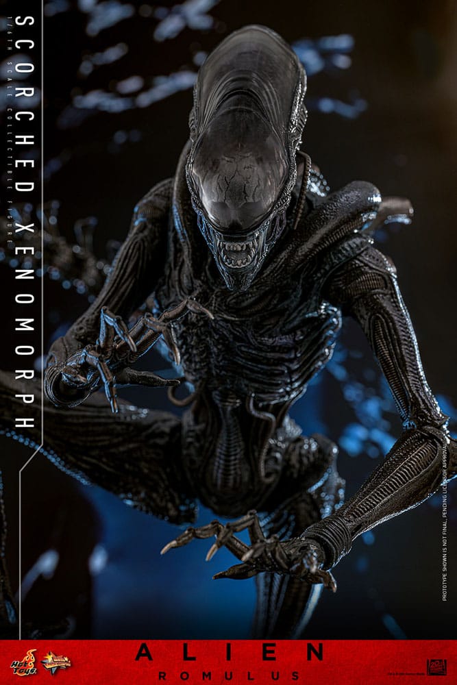 Alien: Romulus Figura Movie Masterpiece 1/6 Scorched Xenomorph 44 cm