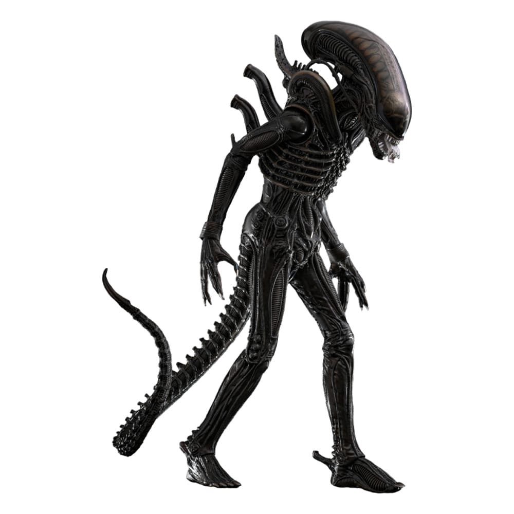 Alien Figura Movie Masterpiece 1/6 Big Chap 36 cm