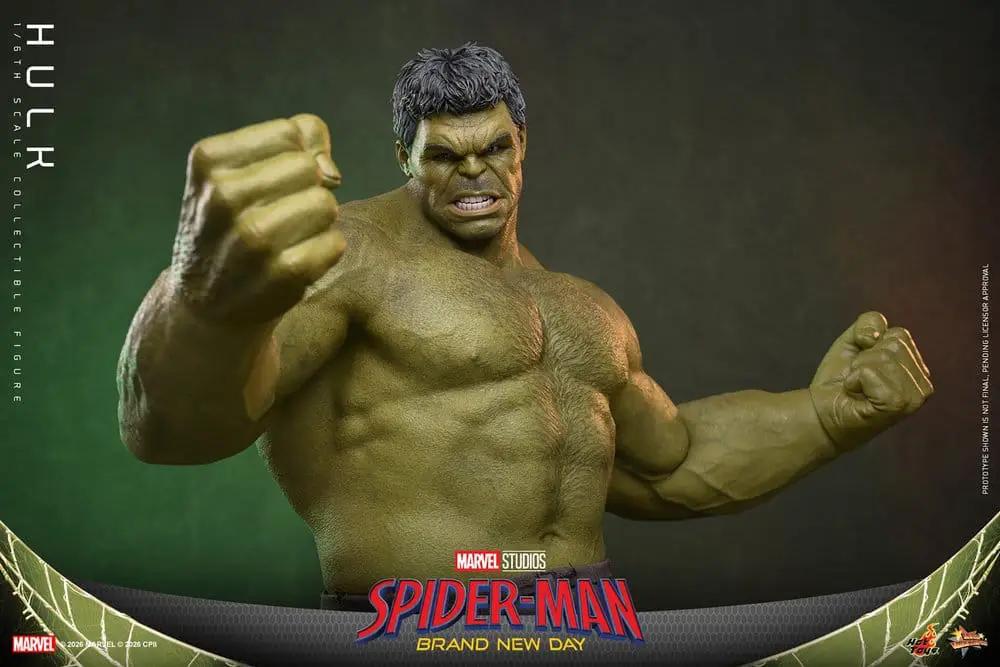Hulk figura de acción 1/6, HOT TOYS, 51 cm, verde musculoso con puños cerrados, empaque con Spider-Man.