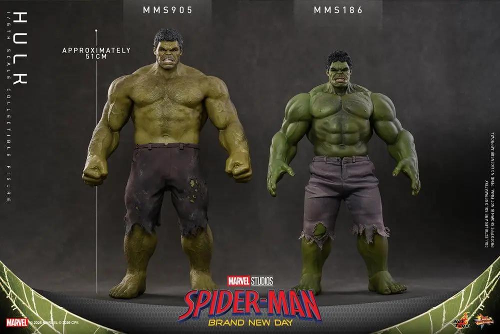Hot Toys Marvel Hulk 1/6-scale action figures, two figures ~51 cm tall, one in torn brown pants, other in purple jeans.