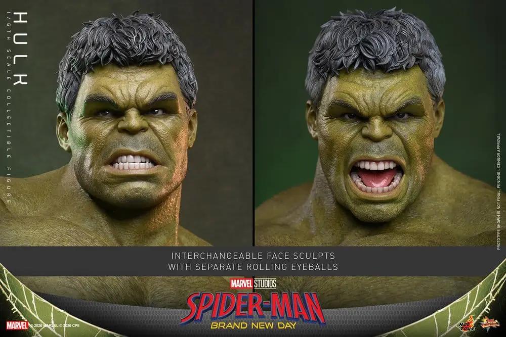 Figura Hulk 1/6 de HOT TOYS, 51 cm, figura de acción verde con cabezas intercambiables