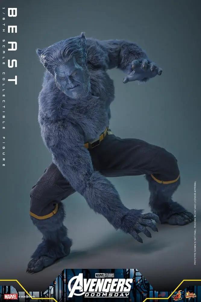 Figura de acción 1/6 Beast de HOT TOYS, Marvel X-Men, 33 cm, pelaje azul.