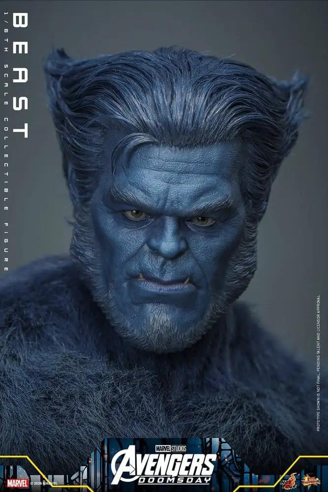 Figura de acción 1/6 Beast (X-Men) HOT TOYS, pelaje azul, coleccionable, 33 cm