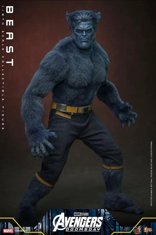 Figura de acción Beast 1/6 Collector Edition de HOT TOYS, X-Men Marvel, 33 cm, pelaje azul.