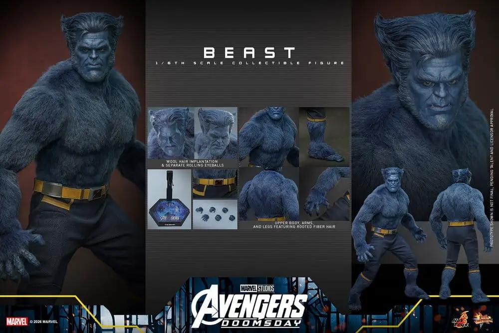 Figura de acción Beast 1/6, HOT TOYS, Marvel X-Men, edición Collector, 33 cm, pelaje azul