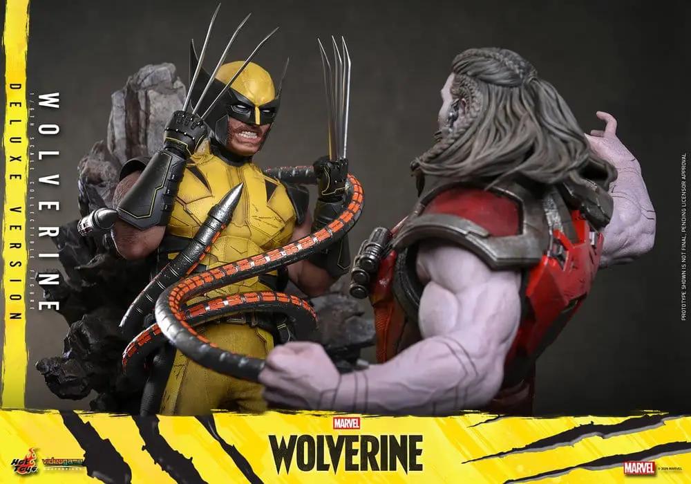 Figura de Acción 1/6 Wolverine Deluxe de HOT TOYS; dos figuras en escena, Wolverine con garras extendidas