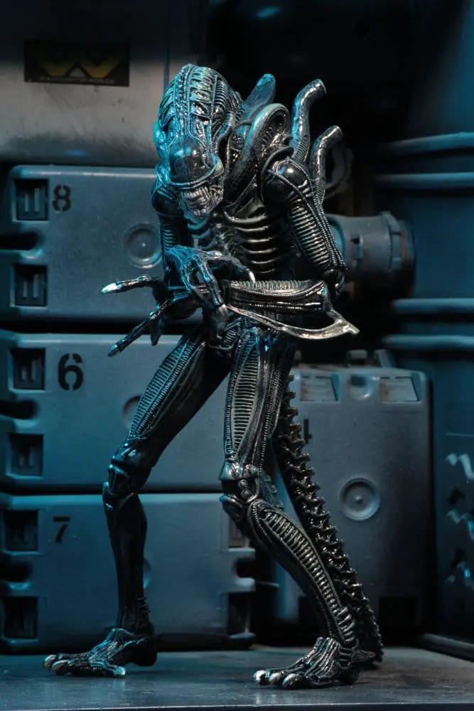 Aliens Ultimate Figura Warrior action figure by NECA, blue metallic Xenomorph, 23 cm tall