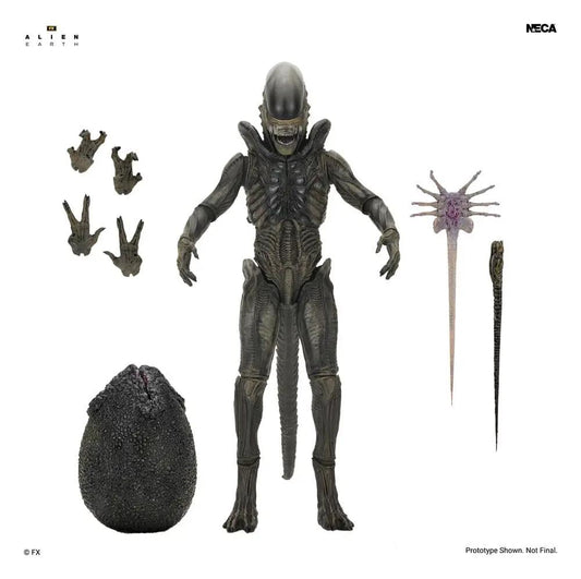 NECA Alien Earth Ultimate Xenomorph 18 cm action figure with multiple interchangeable hands, egg pod, and accessories