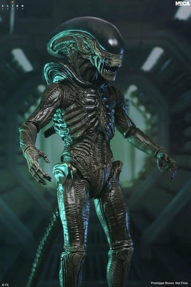Figura de acción Xenomorfo Alien Earth Ultimate de NECA, 18 cm, acabado metálico oscuro