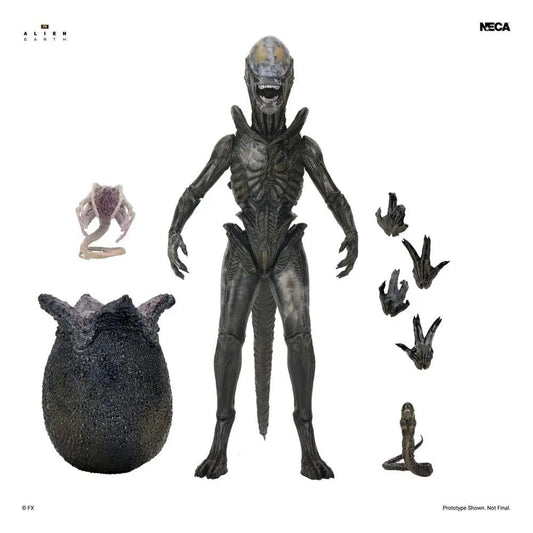 Figura de acción Xenomorfo Alien Earth Ultimate de NECA, 18 cm, con manos extra y huevo alienígena