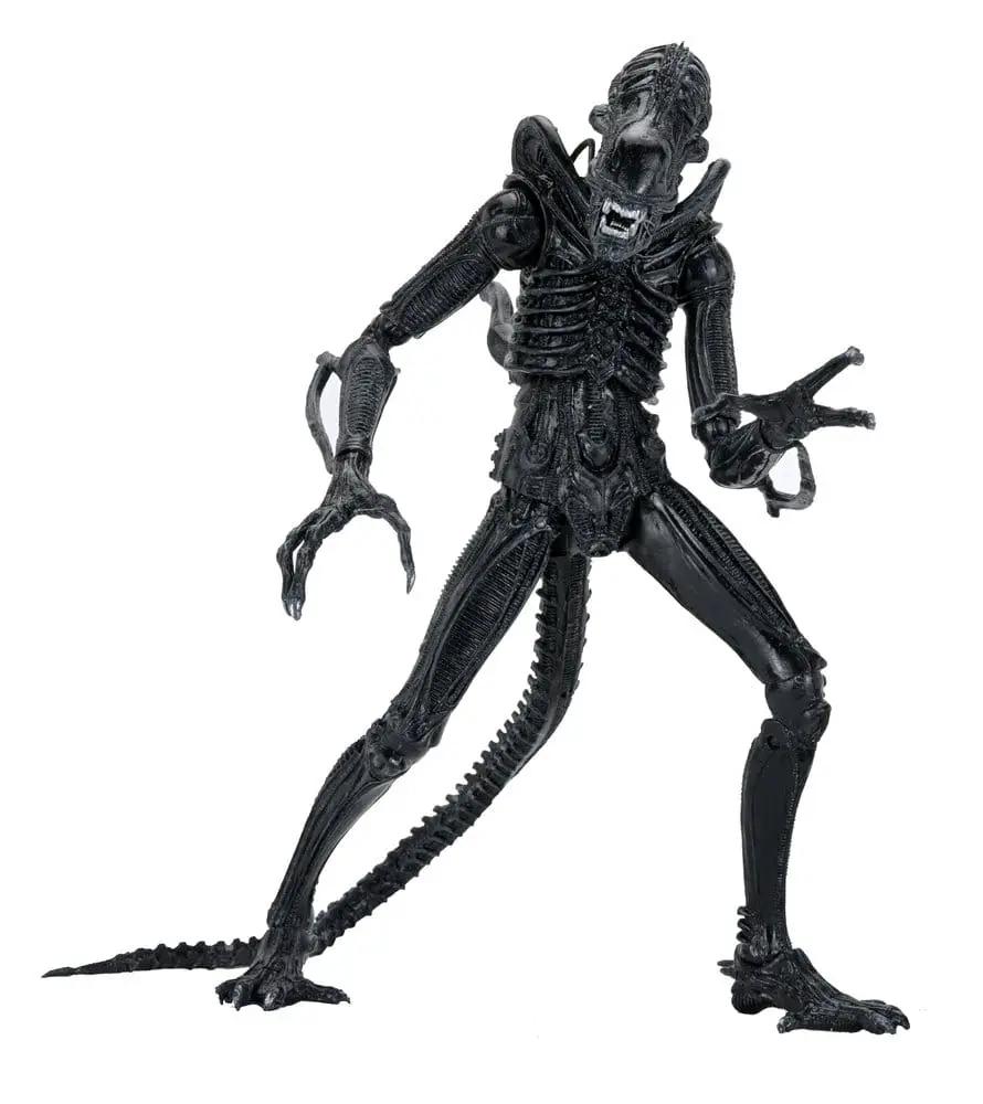 Aliens Ultimate Figura Warrior Xenomorph Black action figure NECA, 23 cm