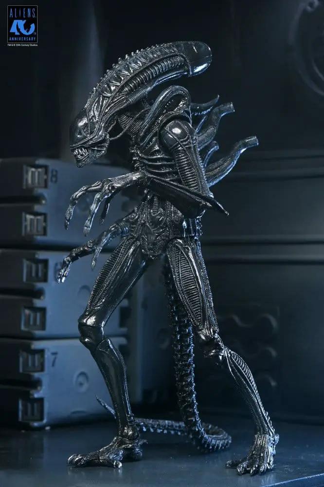 NECA Aliens Ultimate Figura Warrior Xenomorph Black action figure, 23 cm, 40th Anniversary