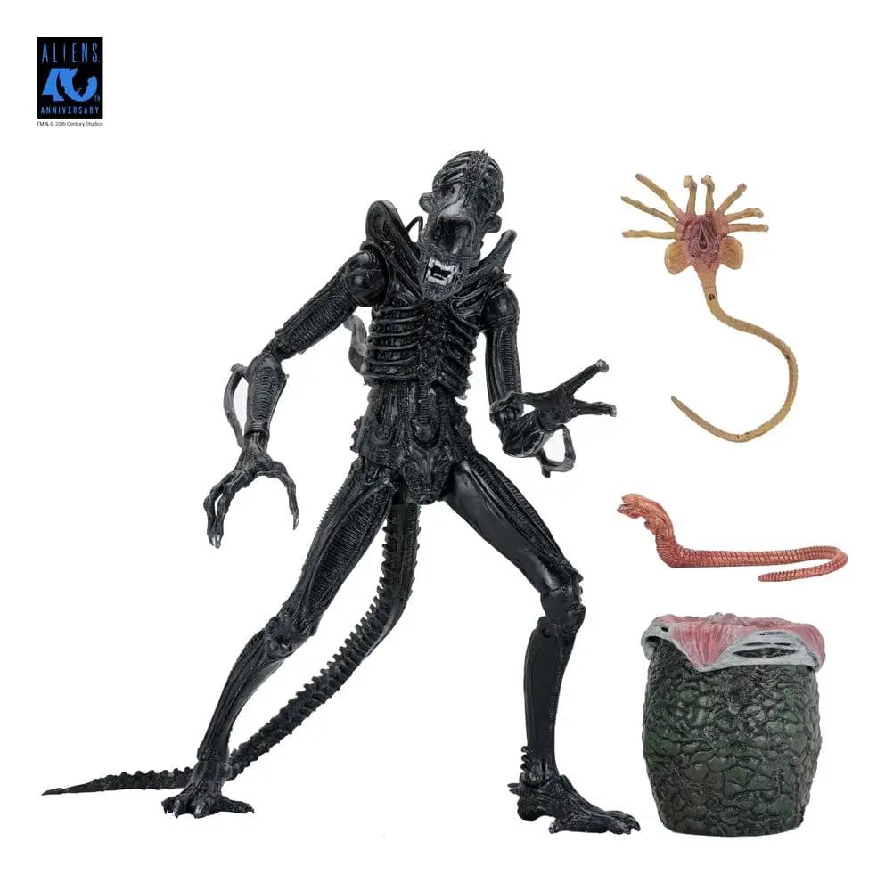 Aliens Ultimate Figura Warrior Xenomorph Black action figure with facehugger and egg pod accessories (4-piece NECA set)